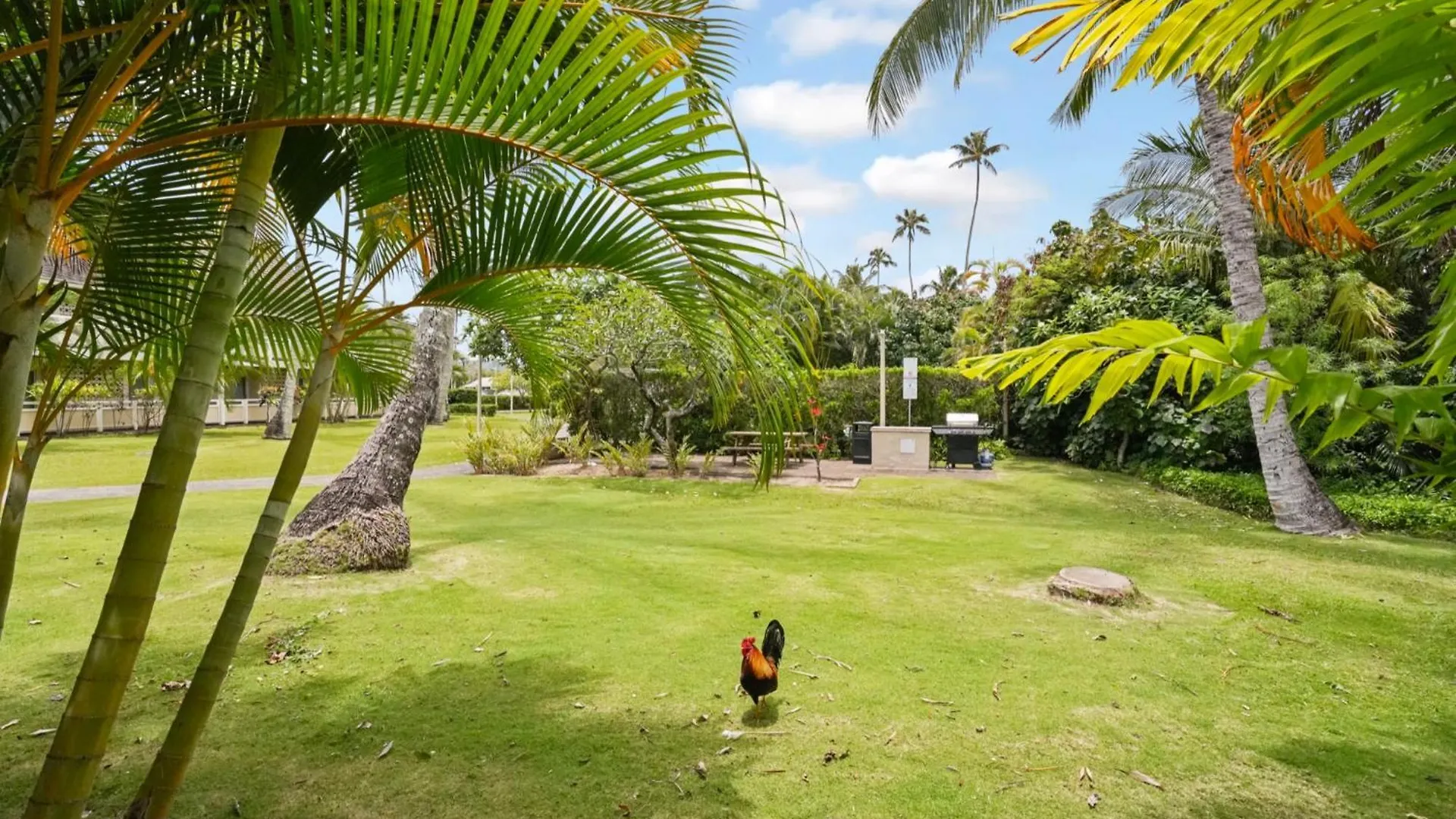 Kahaki Hale Apartment Kapa'a United States